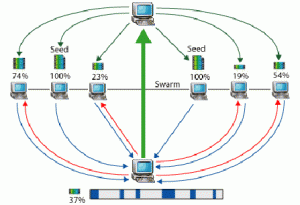 bittorrent